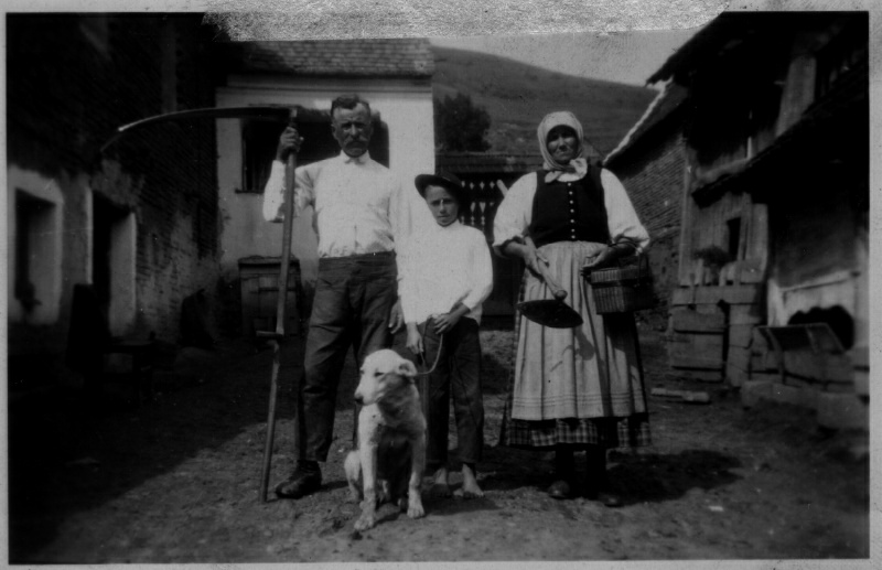 Ancestors, pre-1900 Romania